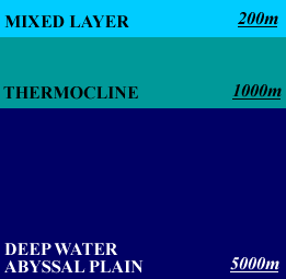 thermal structure ocean