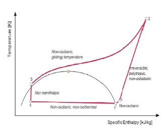 real lorentz cycles