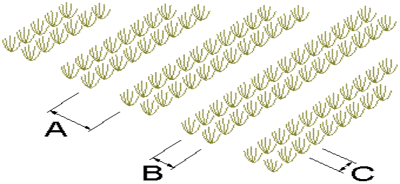 Layout.gif (5648 bytes)