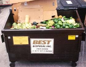 picture: Municipal waste in a large bin