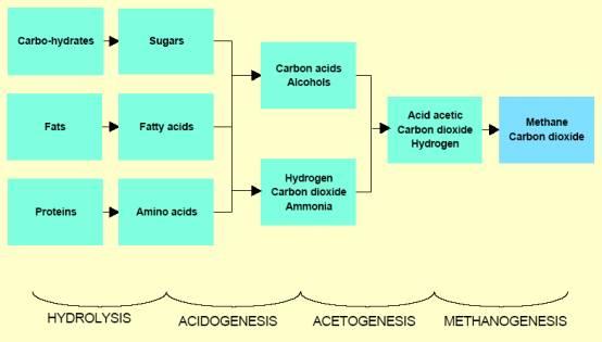 diagram:Conversion of matter to  methane