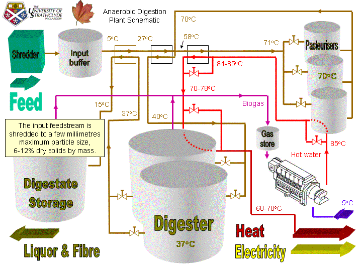 BIOMASS