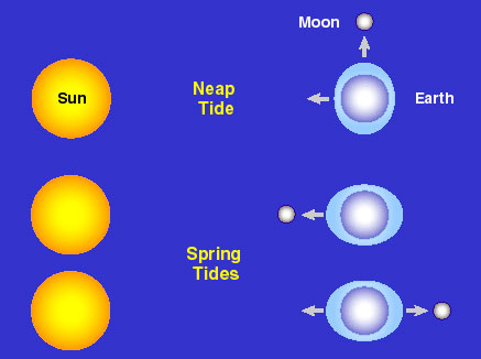 moons influence on tide image