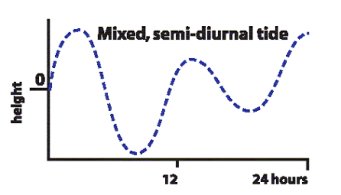 mixed semidiurnal tide image