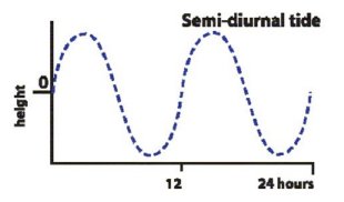 semidiurnal tide image