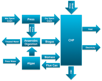 the carbon cycle