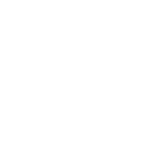 ppt