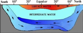 oceanic flows